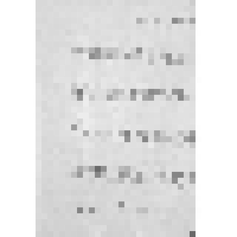 Башкирия с древнейших времен до монголо-татарского нашествия. Первобытнообщинный строй и начало его разложения. Взаимоотношение башкирских племен с булгарами