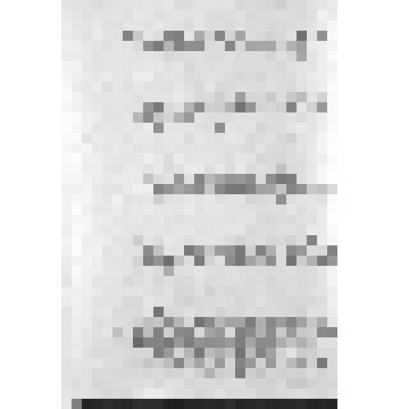 Башкирия с древнейших времен до монголо-татарского нашествия. Первобытнообщинный строй и начало его разложения. Взаимоотношение башкирских племен с булгарами
