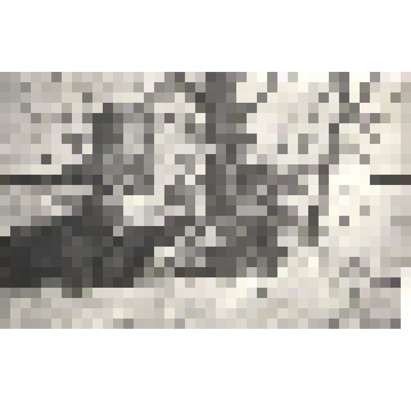 Фотонегатив "Под г.Наро-Фоминском"