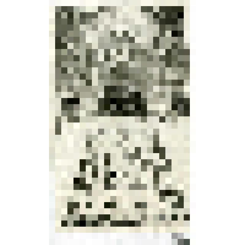 Офорт. Лист 45. Повеления Господа о постройке святилища, скинии, ковчега, стола. (Исх. 25)