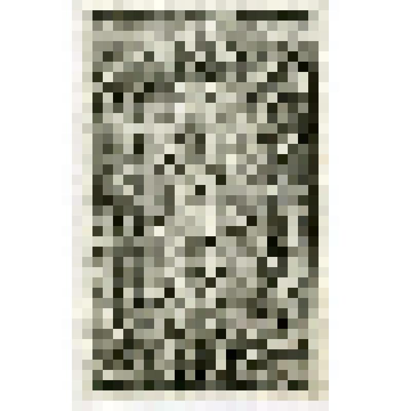 Офорт. Лист 147. Родословие Иисуса Христа (Мф. 1)