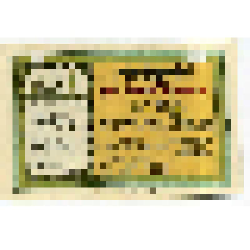 Бумажный денежный знак. Нотгельд г. Тетеров. Стихотворение. Экипаж с военными. 75 пфеннигов. Германский Рейх (Веймарская республика)