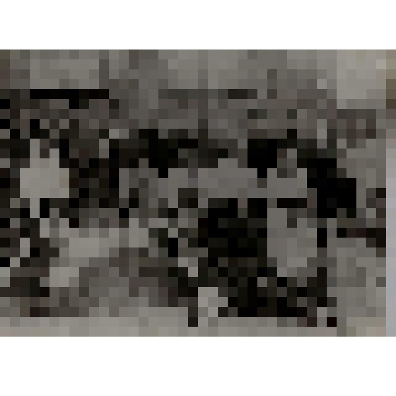 Фотография. Выпуск 8 класса Ровеньской средней школы