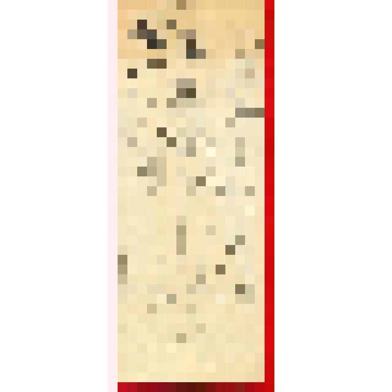 Иллюстрация к повести Кассиля Л.А. "Кондуит и Швамбрания". Графика