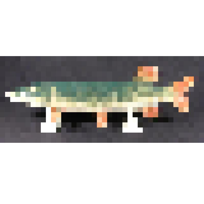 Статуэтка. Рыба (на двух подставках)