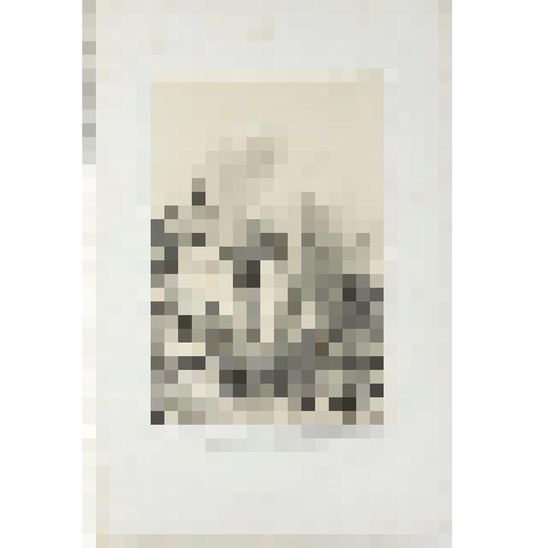 Литография. "Любек. Улица вблизи Большой церкви."