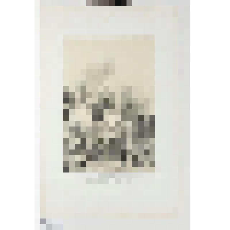 Литография. "Любек. Улица вблизи Большой церкви."