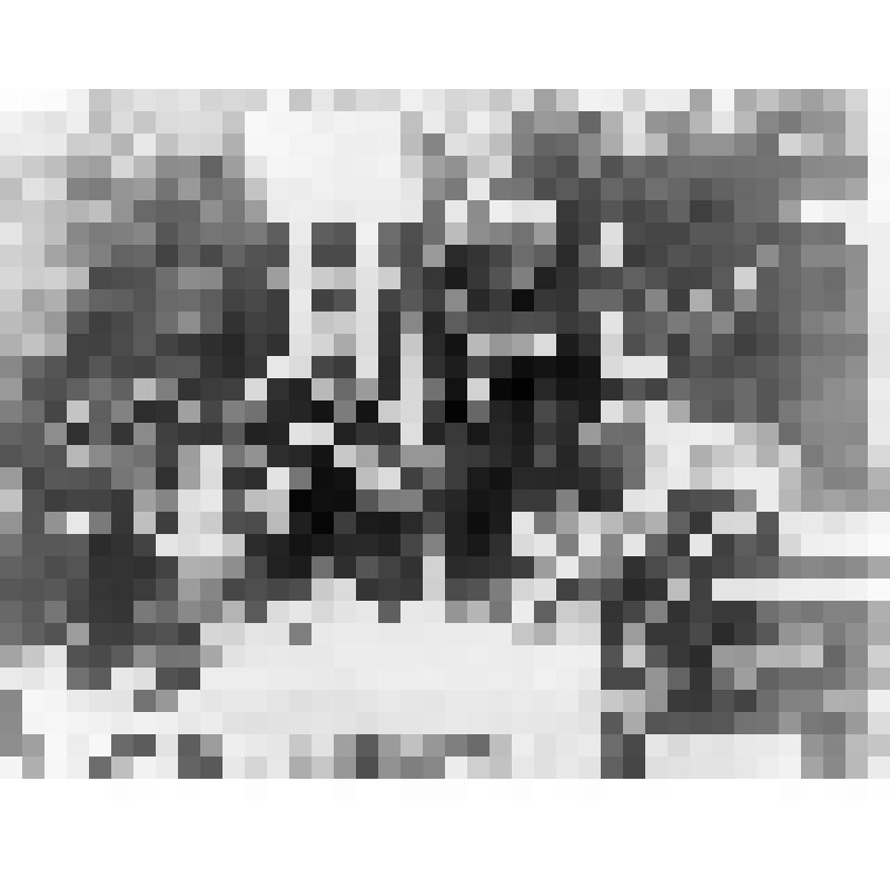 Негатив. Штаб Морозовско-Донской дивизии