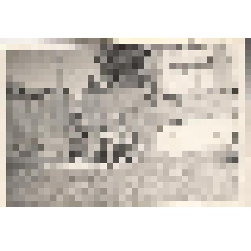 Фотография ч/б Белоусова Андрея Ивановича. Оперный певец – наш земляк