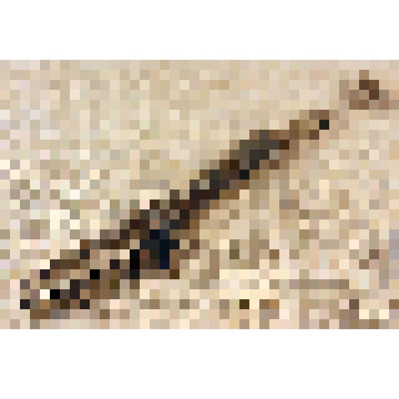 Кронциркуль пружинный Давыдова Л.Н. из коллекции материалов Давыдова Леонида Николаевича, старшего инженера Саратовского областного радиотелевизионного передающего центра, и его жены Давыдовой Натальи Андреевны, старшего инженера передвижной телестанции (