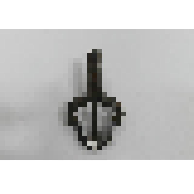 Варган английский