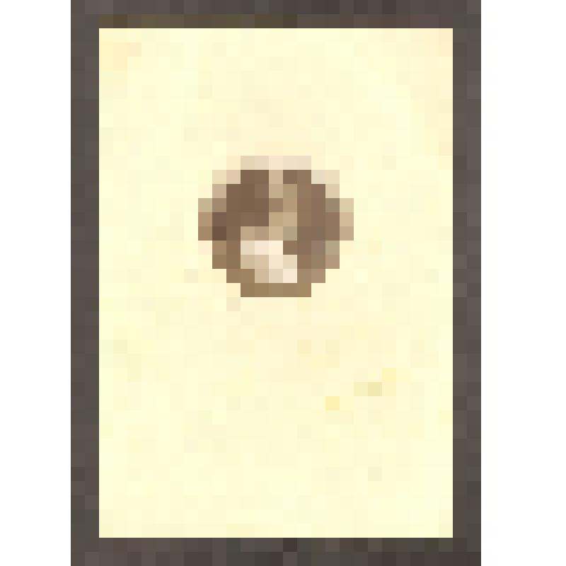 Фотопортрет погрудный, круглой формы, девушка в пенсне. Фото на паспарту. На обратной стороне рукописный текст черной тушью