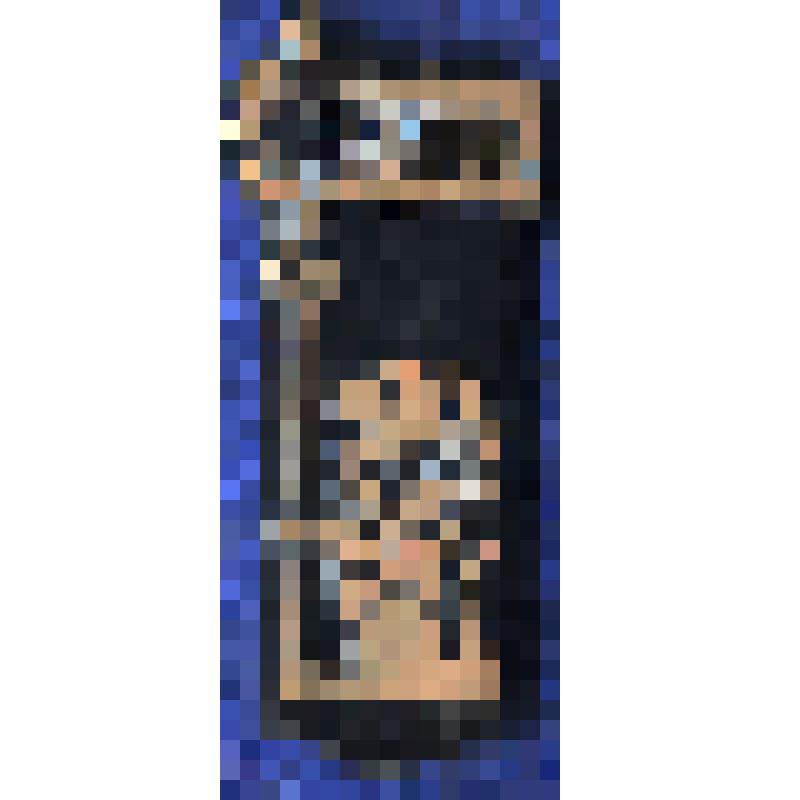 Значок с надписью TALLINN c изображением  львом