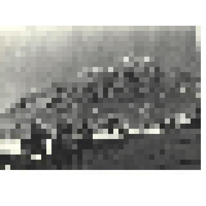 Фотографии. Фото ч/б. Партизаны едут в разведку, 1942 г