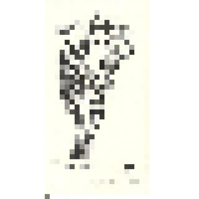 Из книг К.С. Токарева. Экслибрис