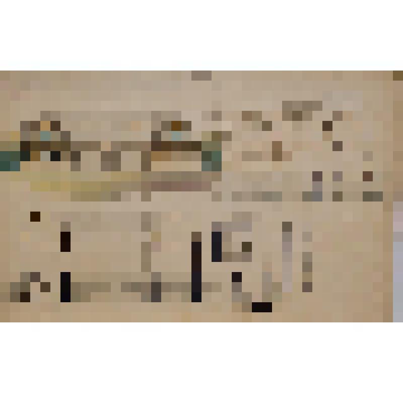 Графический лист. "Проект на постройку деревянных служб для квартир №1, №2, №3, №4 в Березниковском содовом заводе О-ва Любимов, Сольвэ и Ко"