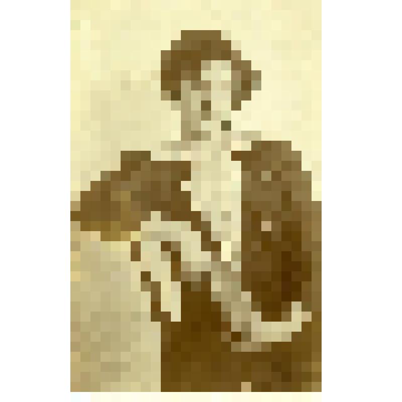 Портрет Т.Д. Кирпичевой, супруги И.С. Кирпичева. На открыточном бланке. Фотография