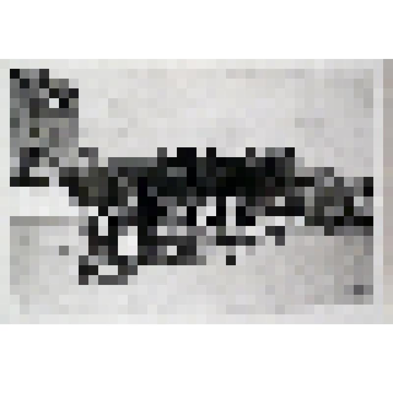 Фото. Первомайская демонстрация в г.Кургане