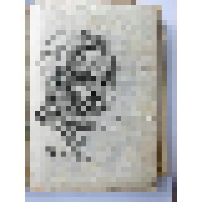 Альбом с проектными чертежами, с эскизами, зарисовками архитектурных памятников и деталей, произведений скульптуры и декоративно-прикладного искусства, пейзажными зарисовками, тематическими рисунками исторического жанра и по мотивам воспоминаний детства и