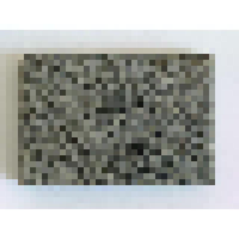 Образец породы. Биотитовый плагиосланец.  Месторождение: Челябинская область, поселок Аргази