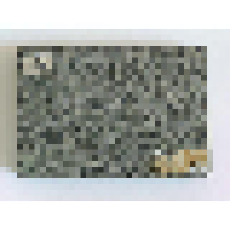 Образец породы. Биотитовый плагиосланец.  Месторождение: Челябинская область, поселок Аргази