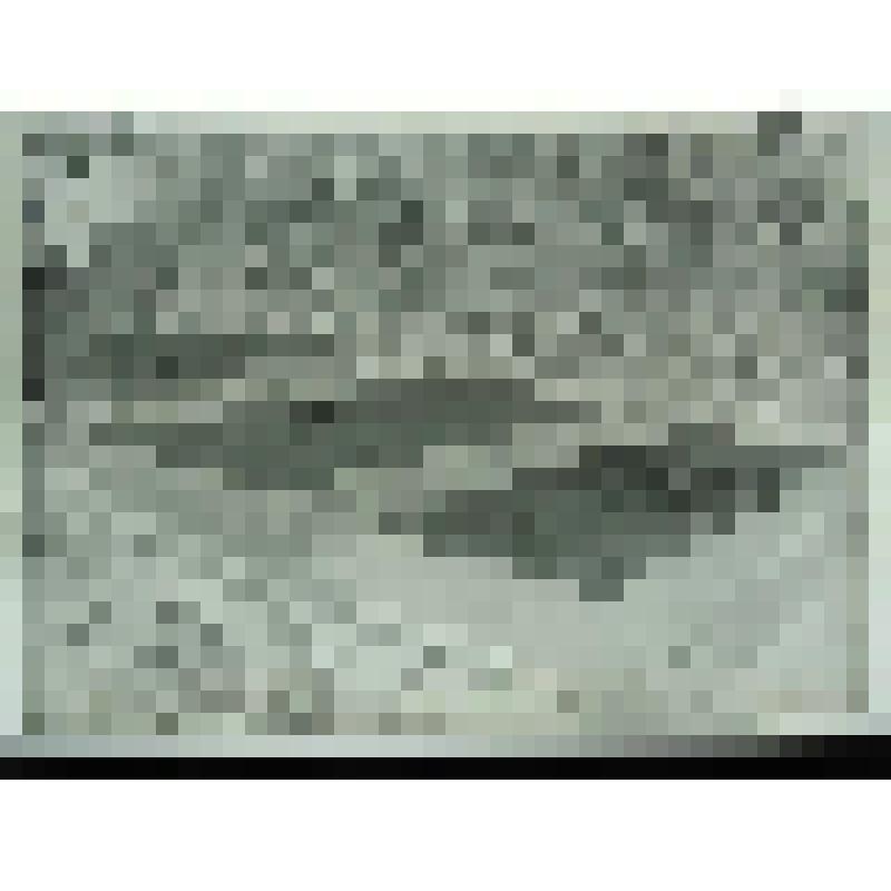 Пятницкое кладбище, г. Москва. Пятницкое кладбище. Фамильная усыпальница Ростопчиных. Общий вид группы памятников