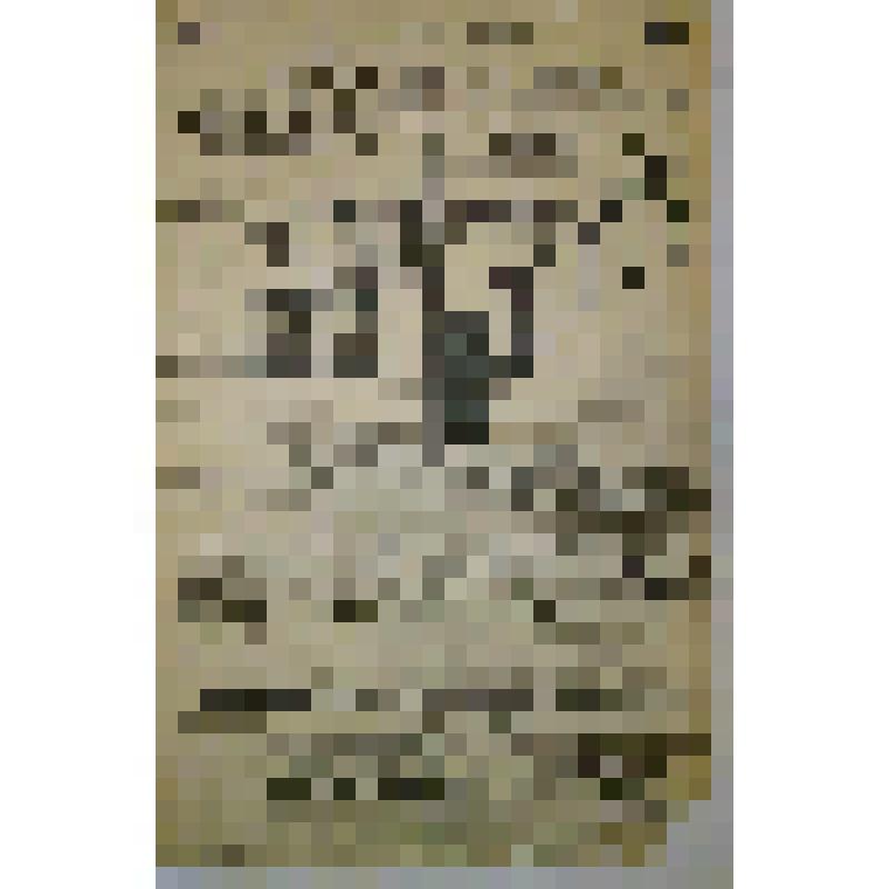 Афиша сводная. "Карьера Наблоцкого" (Режиссер Г.К.Невский.); "Идиот" (Режиссер Г.К.Невский.). Архангельск, Гагаринский сквер. Дирекция Петра Кузьмича старшего Минаева; Антреприза, Драма, комедия, одноактная оперетта, обозрение, кабаре под режиссерством Г