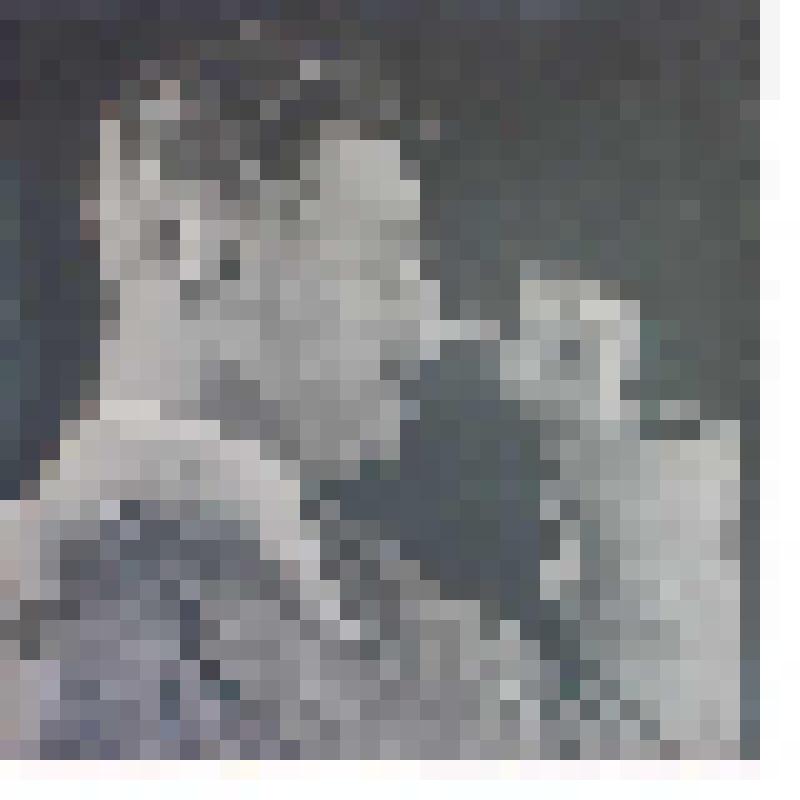 Фото. Маяковский В.В. выступает на II съезде Союза воинствующих безбожников с чтением стихотворения «6 монахинь». Кадр кинохроники