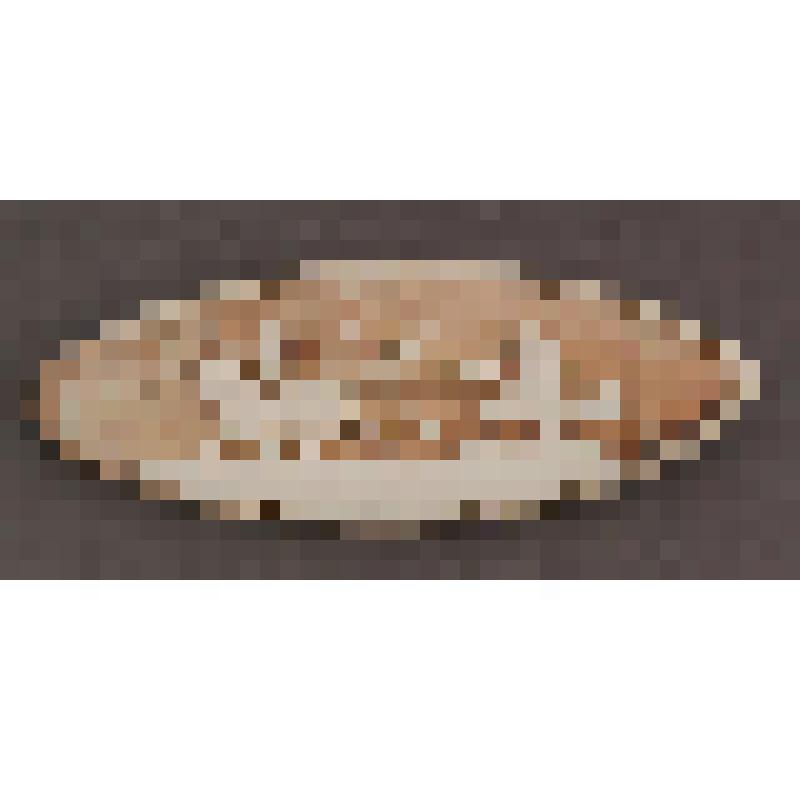 Брошь. Езда на Олене