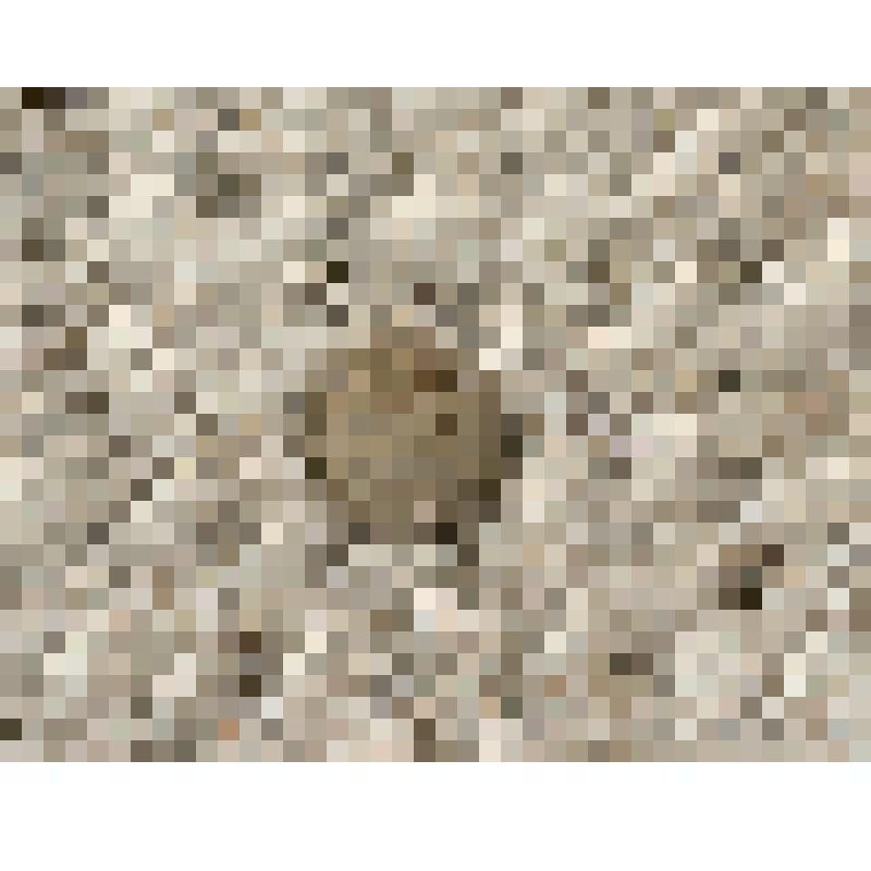 Монета 15 копеек