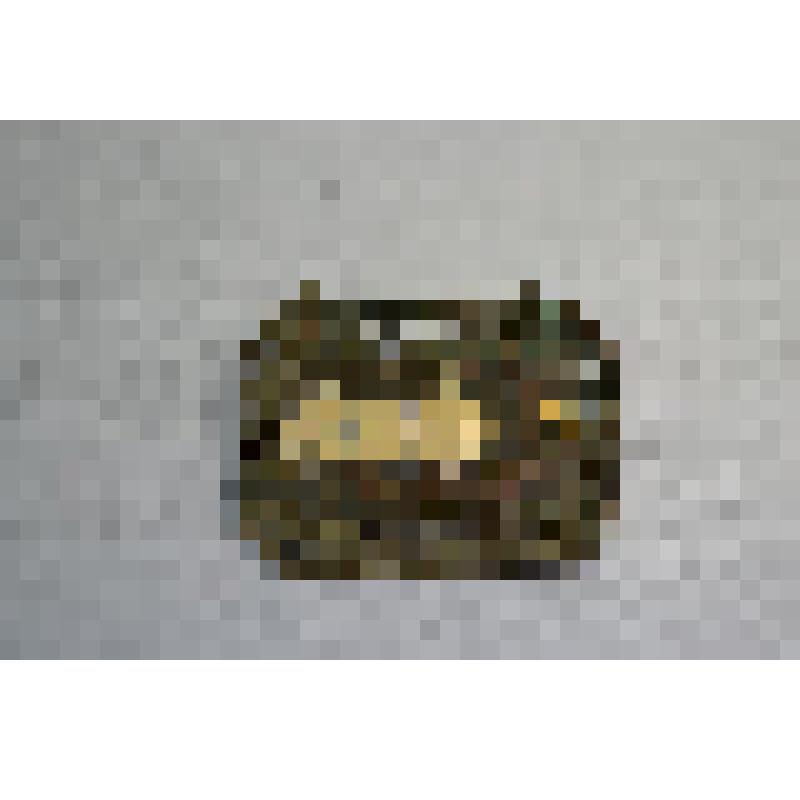 Хаситэ (фрагмент)