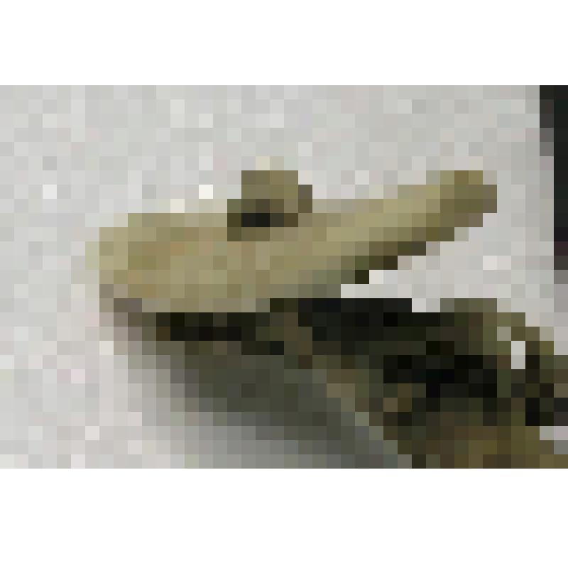 Пуговица костяная