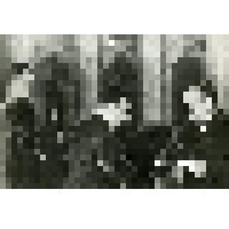 Награждение военнослужащих дивизии особого назначения им. Дзержинского в Кремле. Фотография