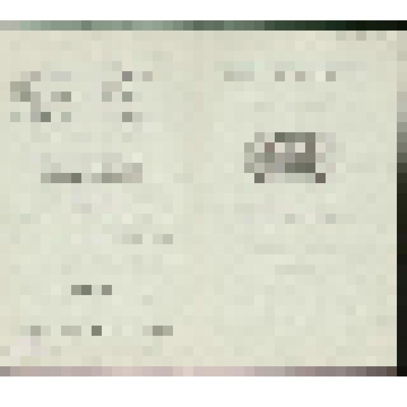 Программа. "Лебединое озеро" (Дирижер - Ройтман А.С. Постановка - Горский А.А., Мессерер А.М. Художники - Самохвалов С.К., Федоров Л.А.). Москва, Государственный академический Большой театр СССР