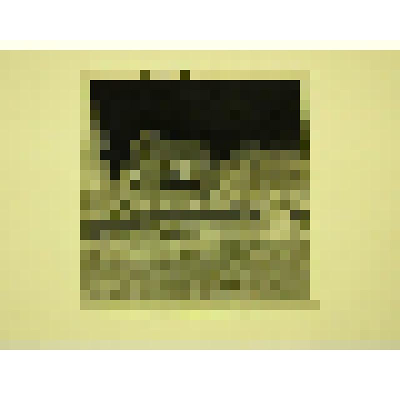 Индивидуальный жилой дом. Литва, г. Алитус. Индивидальный жилой дом. Общий вид