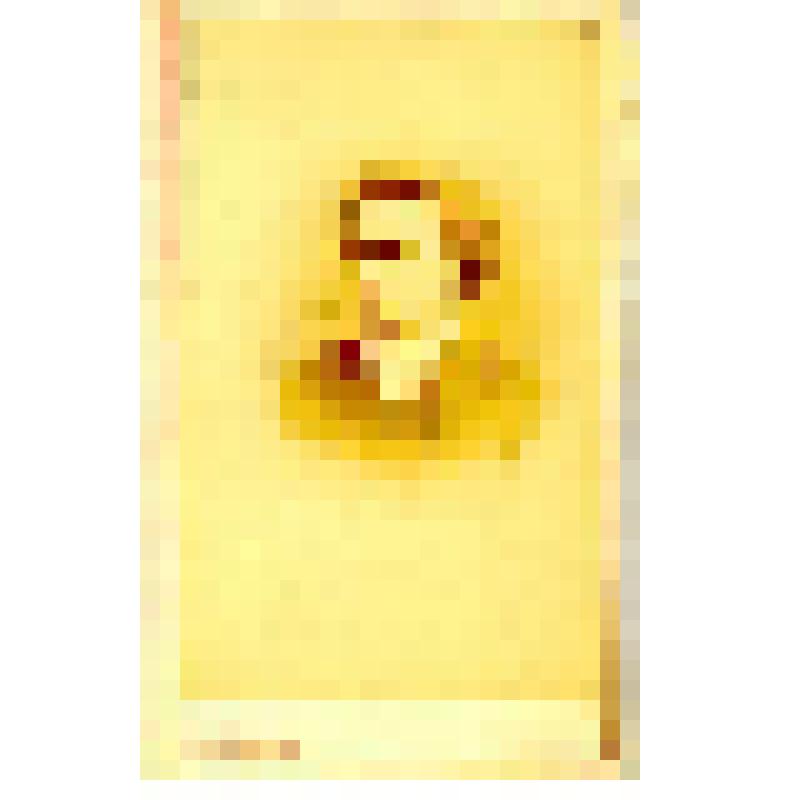 Фотография. Алексеенко