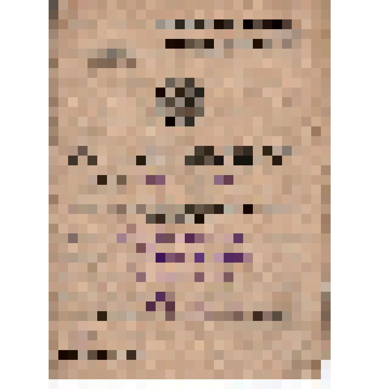 Обязательство N 43 на поставку мяса государству в 1940 г.  колхозом им. Молотова