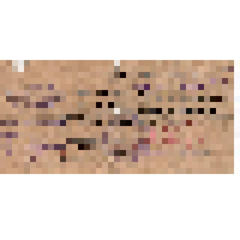 Удостоверение N36 выданное Ипполитову И.П