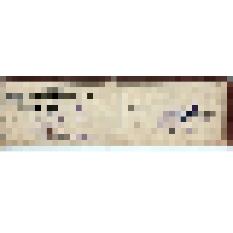 Членский билет N 12 Ларцева А.И