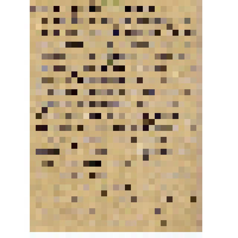 Письмо в редакцию газеты "Правда" А. Соловьева от имени колхозников колхоза "Красный путиловец" о проекте Конституции СССР  (начало письма)