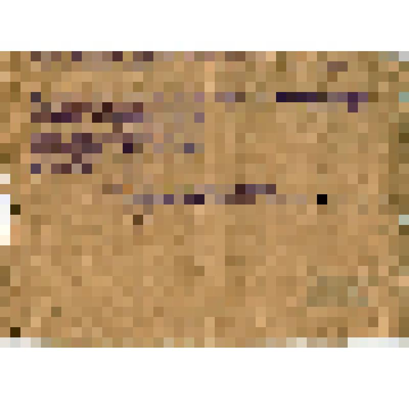 Выписка из протокола заседания Пленума Горсовета о делегировании Ляпина И.М. на Х Всероссийский съезд Советов