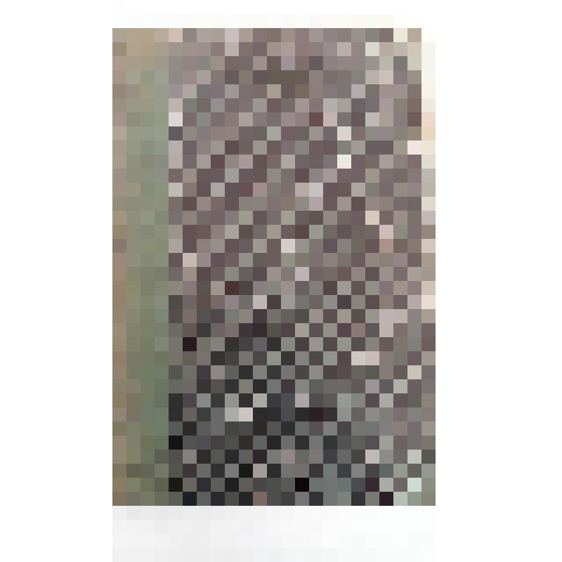 Книга. Историческое описание Московского ставропигиального Донского монастыря / Сост. И. Забелин. - 2. изд., испр. и доп