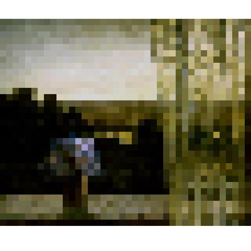 Летний вечер