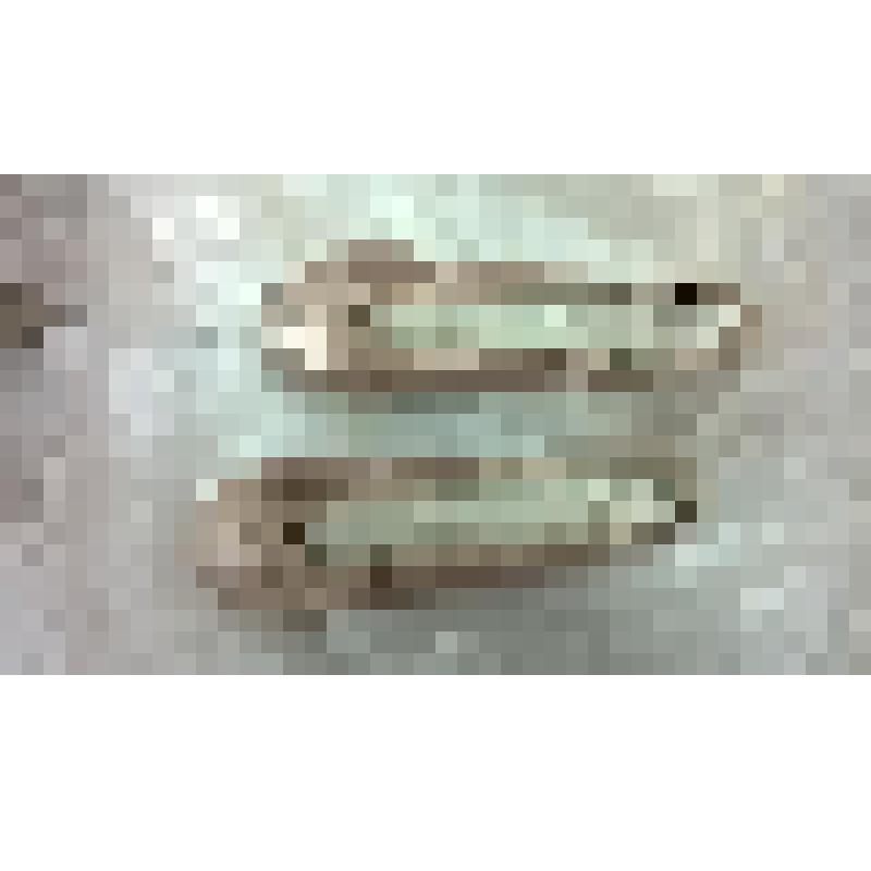 Пуанты  Богомоловой.Л.И