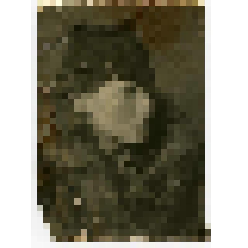 Фотография. Р.И. Чернышова, жительница села Коломенского