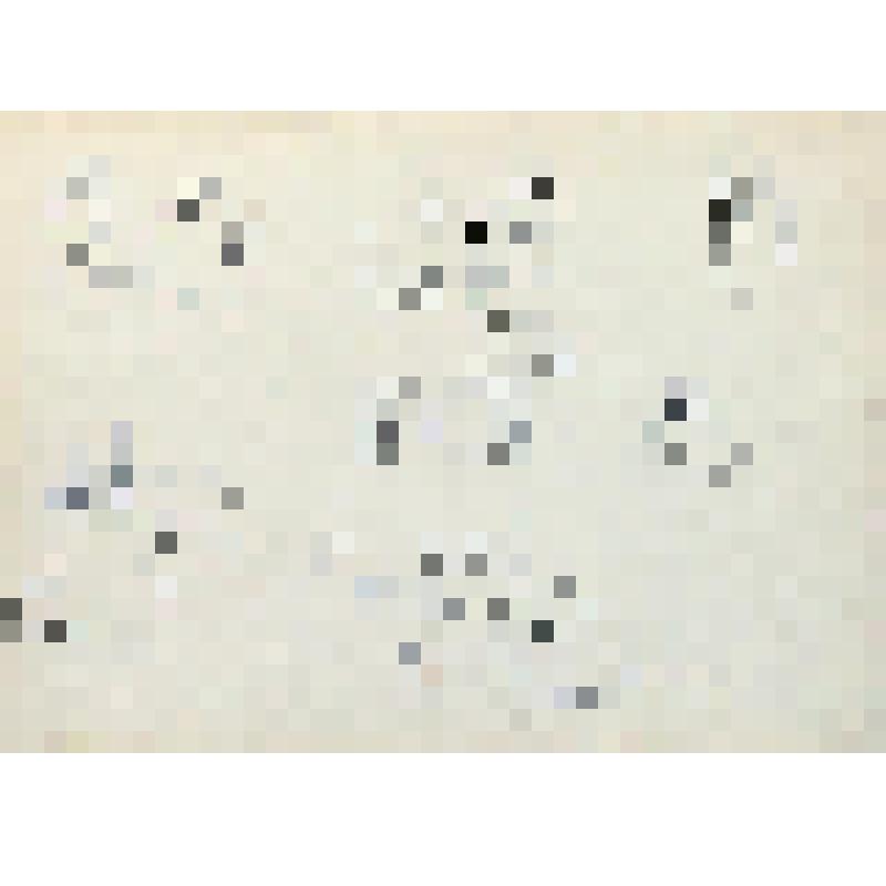 Женщины. Из серии "Село Велегож. Весна 1965. №2"