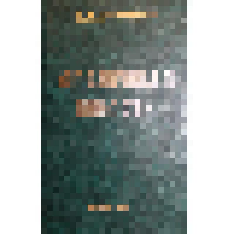 Книга Е.Н. Анищенко «Опаленная юность»