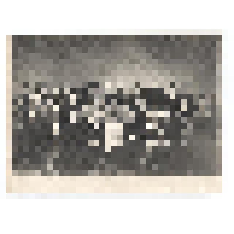 Фотография групповая. Коллектив Сахалинского телерадиокомитета