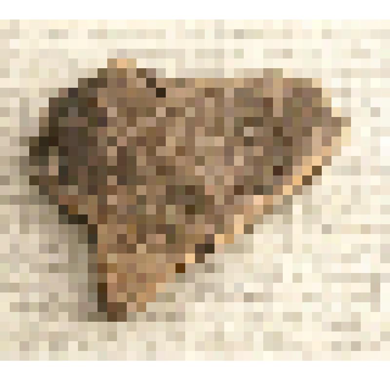 Фрагмент керамики