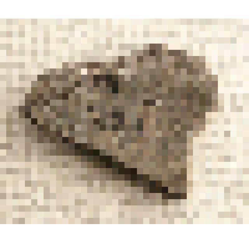 Фрагмент керамики